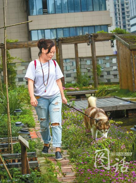 除了经营咖啡厅，方芳每天都会带哈士奇来农场施肥摘菜。