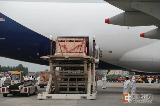 正在从飞机上运下来的澳大利亚活牛