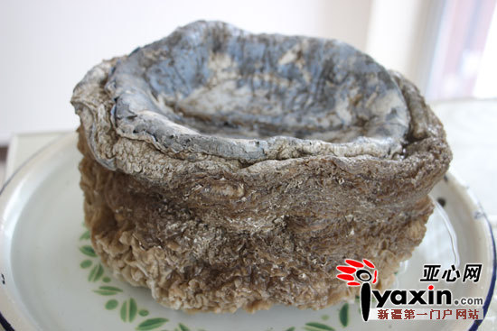 疑似“太岁”的正面