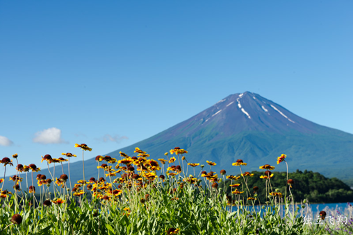 夏季的富士山（网页截图）
