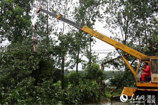 积玉口镇杨源村二组抢修现场