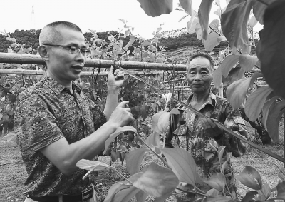 南靖县人口_陈展虹赴漳州 南靖 东山和诏安电大开展招生工作调研