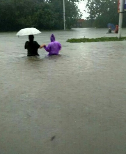 新乡暴雨（网友供图）