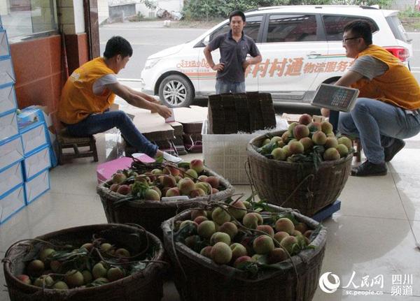 农村电商在收购鲜桃。（记者陈曦 摄）