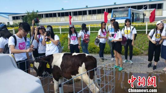 图为香港传媒学子参观伊利集团。 张林虎 摄