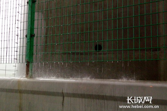 河北下发暴雨洪水大风灾害防御通知 应对强降