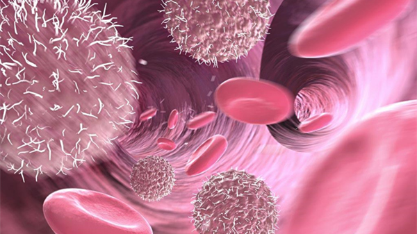 中国干细胞集团第2000例脐带血干细胞移植上