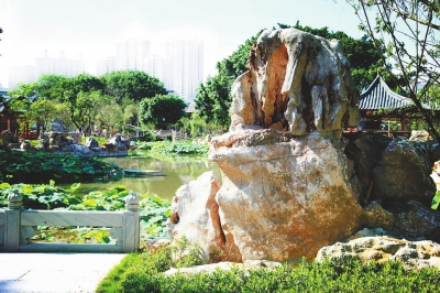 曲院风荷，别有韵致。