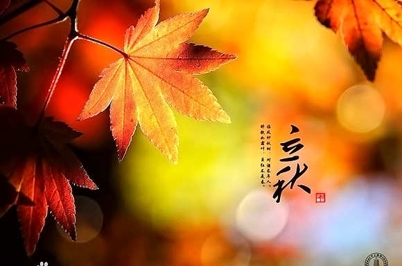 立秋 图自网络 华龙网8月7日14时31分讯(记者 黄宇)重庆的天气还在盛夏模式中运转,殊不知,今(7)日就迎来二十四节气中的立秋了。秋季是天气由热转凉,再由凉转寒的过渡性季节,期间,天气忽冷忽热,一不小心就感冒了。重庆市肿瘤医院中医肿瘤科主任王维告诉记者,立秋之后,要注意去燥火,养阴润肺。