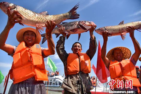活动当日，渔民展示巨网捕鱼的收获。　杨坤 摄