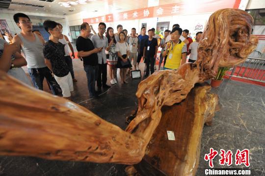 中国山西首届三晋崖柏艺术展上，民众在天价崖柏前拍照。　胡健 摄