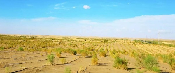 　　且末环境有多恶劣？看一组数据：