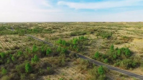 　　“PPP模式”引进民营资本参与治沙