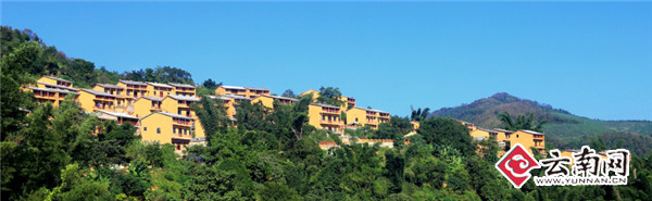 坡芽村新貌全景图