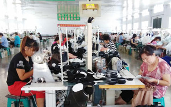 临沂蒙阴垛庄镇因户施策 一户多策助村民脱贫