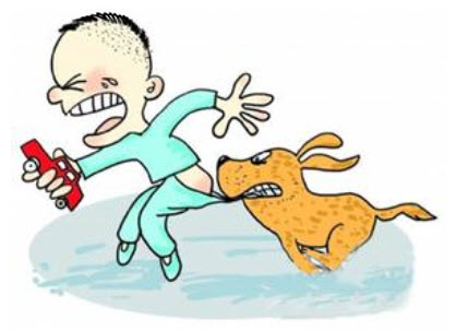 宠物狗咬伤女孩 狗主人赔偿700元