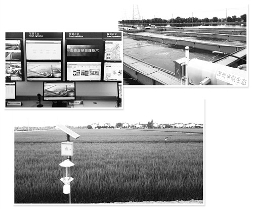 　　① 江苏苏州吴江国家现代农业示范园区的智慧农业管理中心。