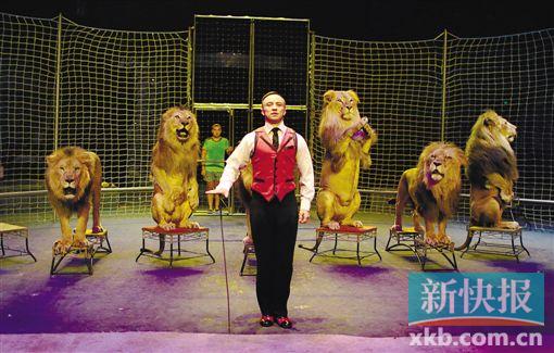 ▲“狮子王”冈察洛夫和他的狮子军团。