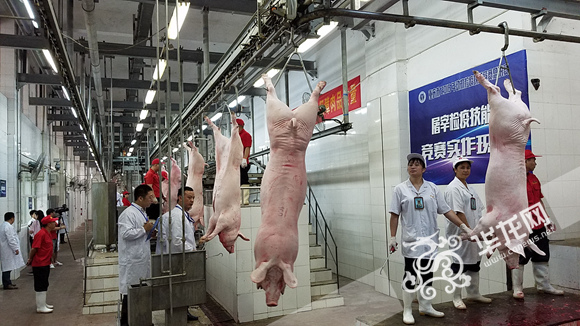 屠宰后的每头生猪都将经过六道检疫工序。 记者 荚天宇 摄