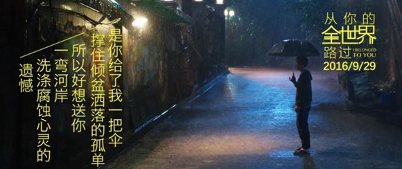 《从你的全世界路过》片尾曲MV曝光 王菲唱遍