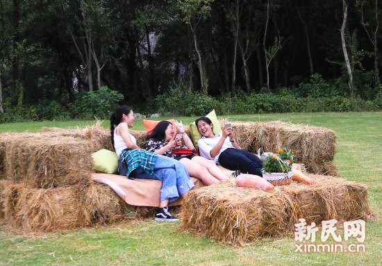 就地取材 废弃秸秆利用寻到上海模式