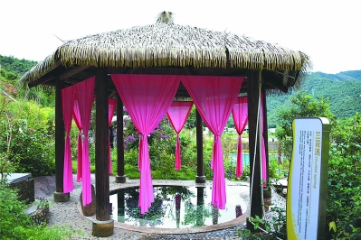 船场镇上汤村推出温泉兰花汤。