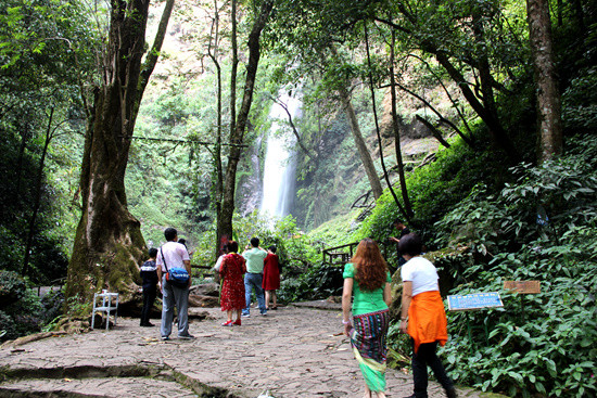莫里热带雨林景区 （人民网记者曹昆摄）