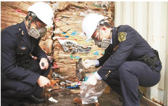 进口废纸中截获不明鸟类尸体