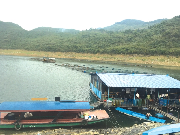 乌江息烽库区仲家坪码头一处网箱养鱼场。