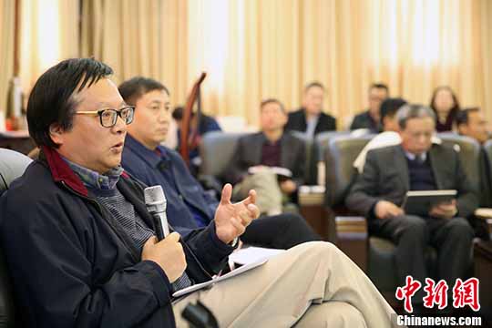 国家发改委规划司司长徐林发言。 中新社记者 任海霞 摄