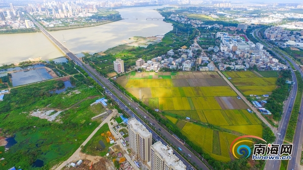 高空鸟瞰海口江东片区 深藏闺中待开发