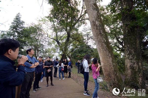 网媒记者和网络大V在宜丰县潭山镇洑溪村古树长廊采风