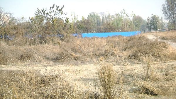 图为南街村一处被荒废近四年的土地,村民表示土地即将用于房地产开发。