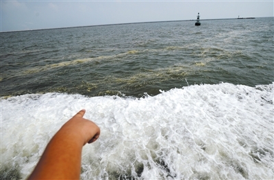 2011年8月26日,渤海天津海域,海面发现浮油油污. 本版图片/视觉中国