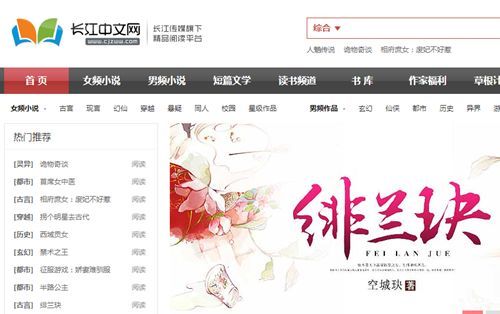 辍学少年成网络写手_网络写手收入(2)