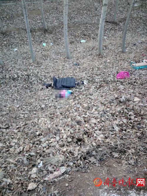 根据高先生提供的现场图片，记者看到，事故现场非常惨烈。三轮车上的两个大人和小女孩被撞到路旁的沟里，面朝下爬在枯草里一动不动，而小男孩则躺在马路边，头部有血迹。树林里散落着很多电动三轮的碎片。