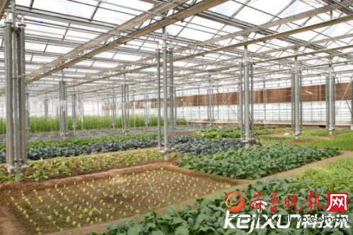 汽车品牌占有量_人均蔬菜占有量(2)