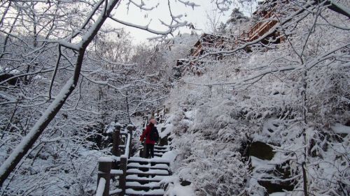 济南实拍：大雪降南山美爆眼球 大片来了！  齐鲁晚报 记者 周青先 摄