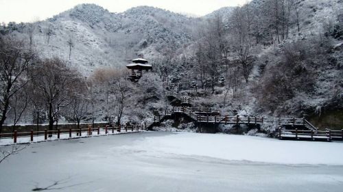 济南实拍：大雪降南山美爆眼球 大片来了！  齐鲁晚报 记者 周青先 摄