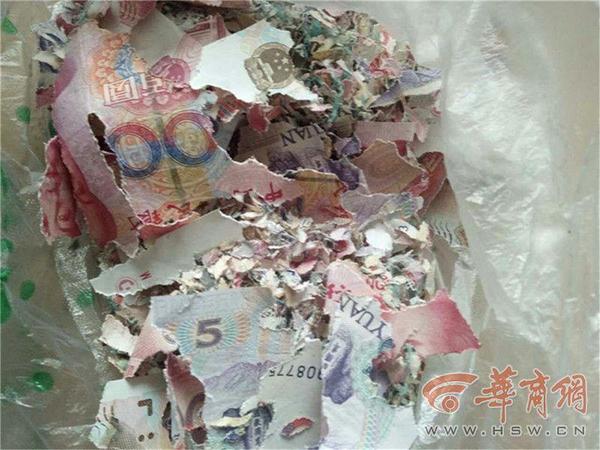 打工钱被咬成碎片 陕西大妈打开藏钱的粮缸后惊呆了
