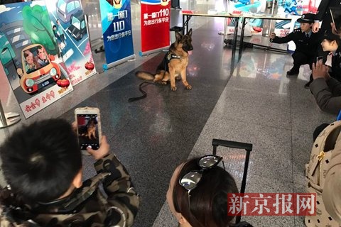 本组图片摄影：新京报记者李禹潼