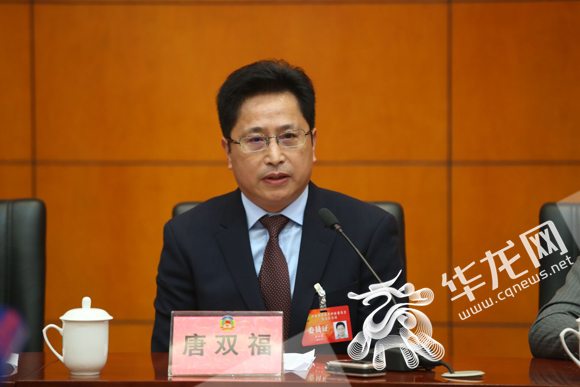 市政协常委、农业委副主任，市农综办主任唐双福建议继续推进“藏粮于地”。记者 李裕锟 摄