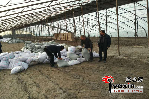 图为罗俊虎(右二)正在温室大棚内搬运育苗营养土,做好2017年育苗准备工作