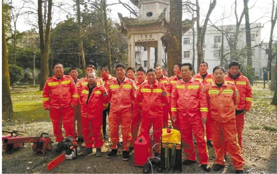 建德春节森林防火工作受省森林消防办肯定