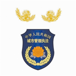 今年年底前统一城管制式服装