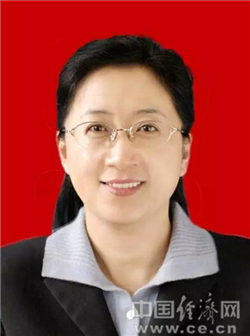 河南省委组织部长刚进京履新 副书记也调来了