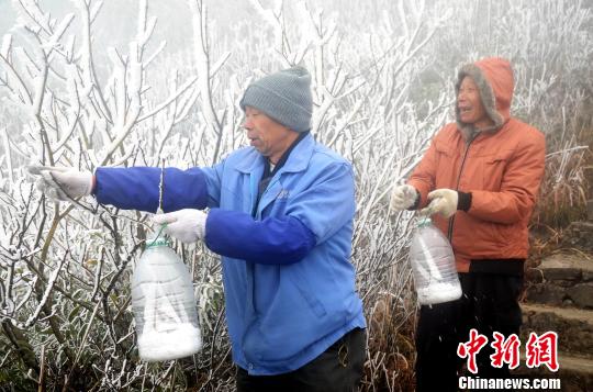继2月9日第一场春雪后，23日，广东金子山再迎春雪。图为当地村民接“新水”。　曾令华 摄