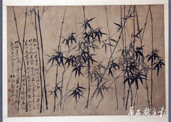 看文物修复赏白石书画,川博奇妙夜好热闹