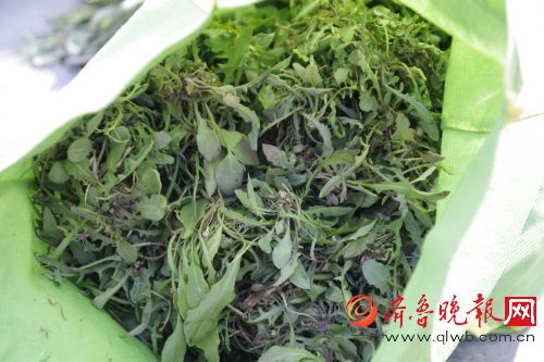 野菜里的春天味道