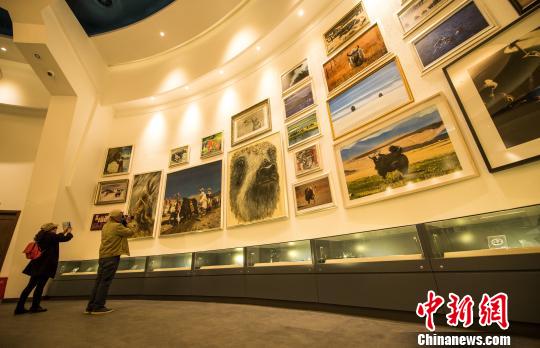 首批游客参观西藏牦牛博物馆　何蓬磊　摄